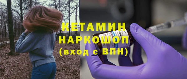 гашик Козельск