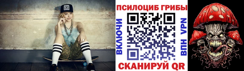Купить где  Губкин  Псилоцибиновые грибы мухоморы 